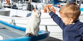 animali-in-barca